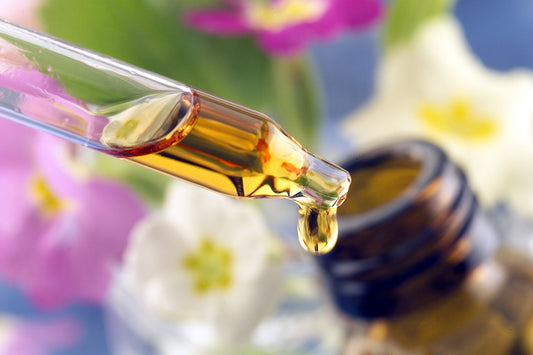 The Science of Essential Oils | A Beginner’s Guide to Aromatherapy and Wellness
